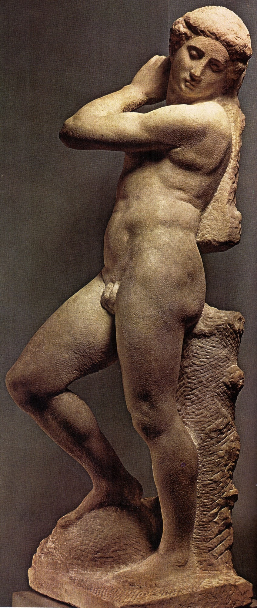 Ejemplo de estatuas de Michel Angelo