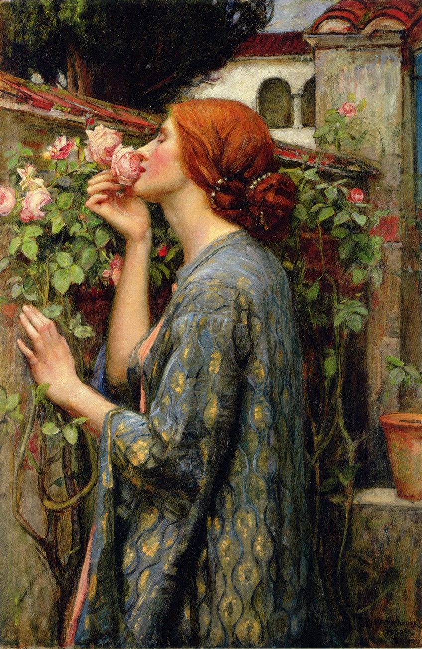 El alma de la rosa pintura