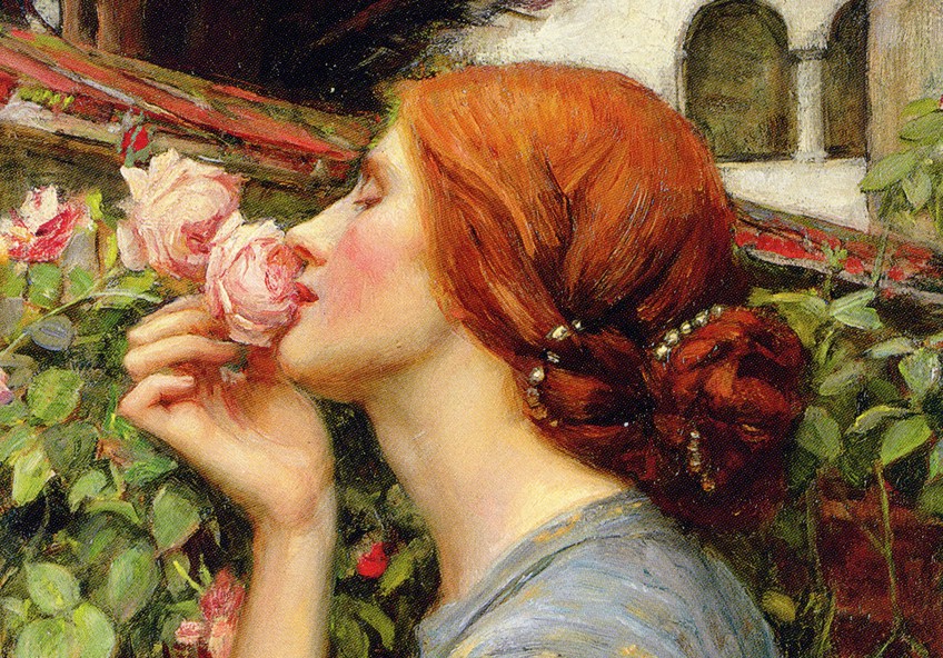 El alma de la rosa por John William Waterhouse Close-Up