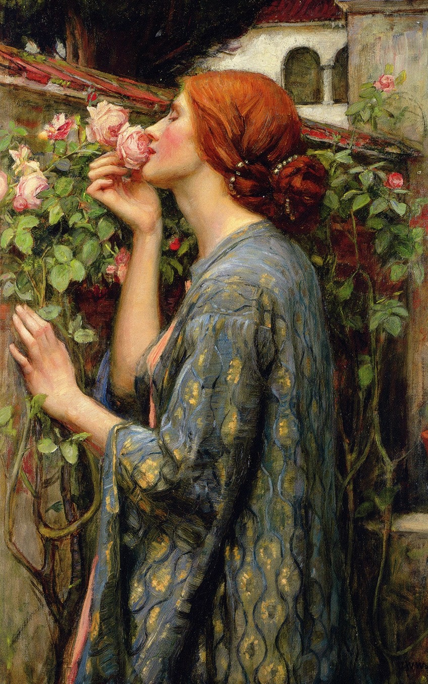 Perspectiva en El alma de la rosa por John William Waterhouse