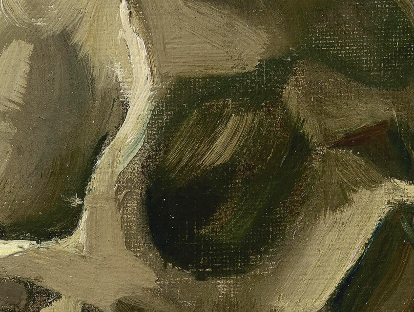 Detalle del cráneo de Van Gogh