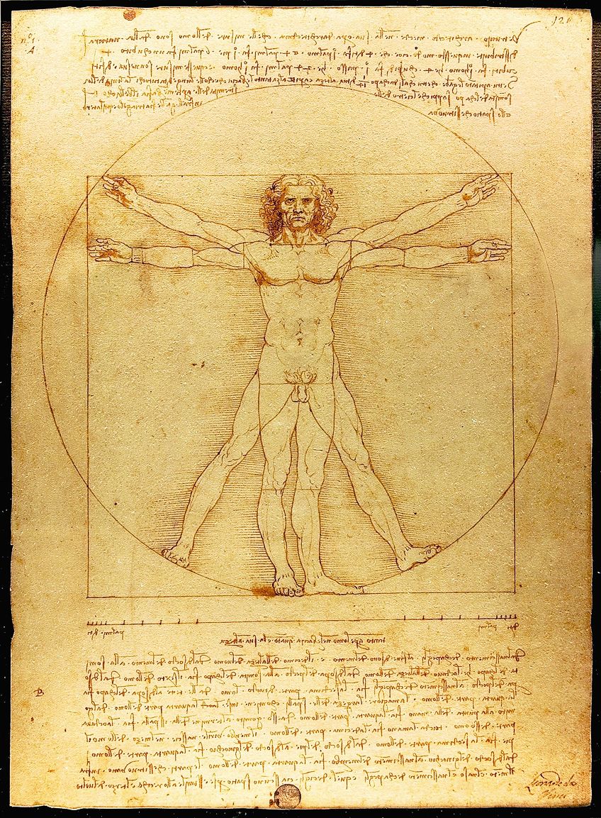 Principios del arte en el dibujo